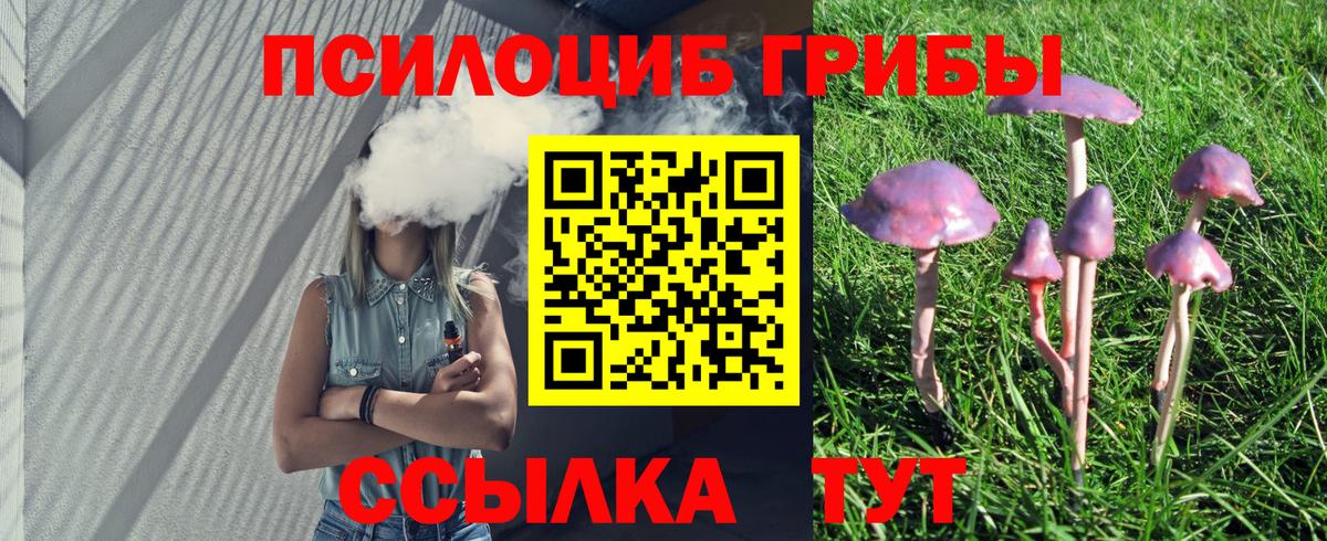 Канск  Галлюциногенные грибы Cubensis  Вход с VPN  Псилоцибиновые грибы прущие грибы 
